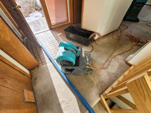Best Water damage restoration near me  in Crawfordville, FL
