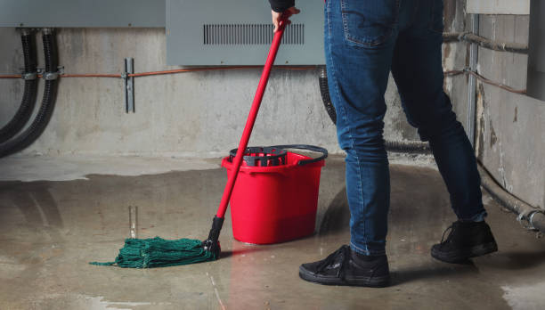 Best Flood restoration services  in Crawfordville, FL