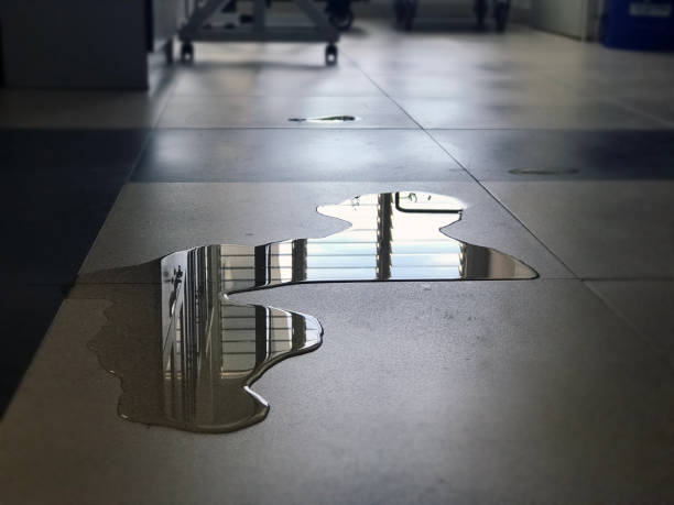 Best 24-hour water damage restoration  in Crawfordville, FL