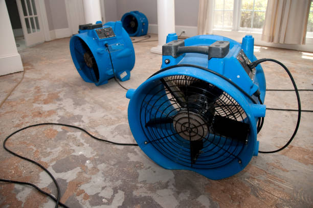 Best Carpet water damage restoration  in Crawfordville, FL