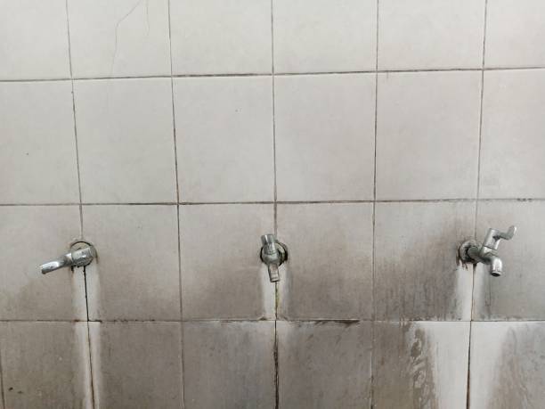 Best Water damage cleanup near me  in Crawfordville, FL