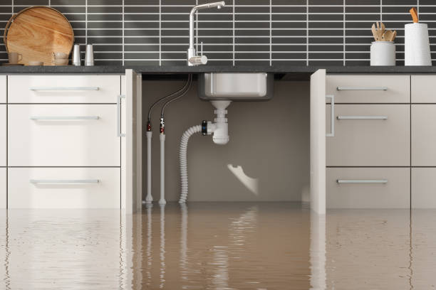 Best Sewage cleanup and water damage restoration  in Crawfordville, FL