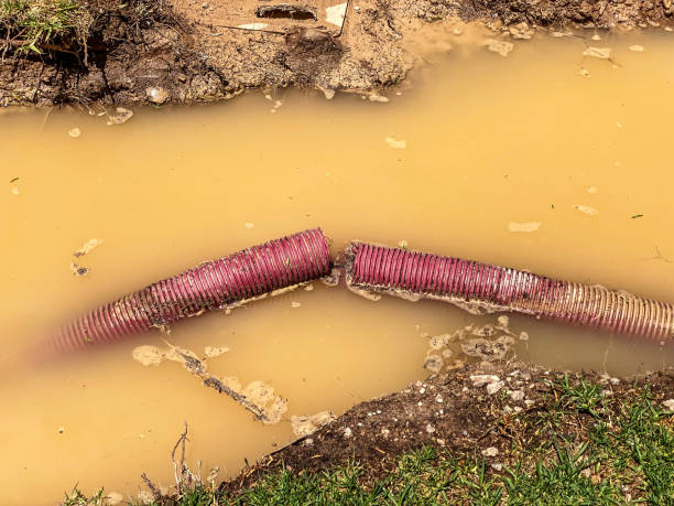 Carpet water damage restoration in FL